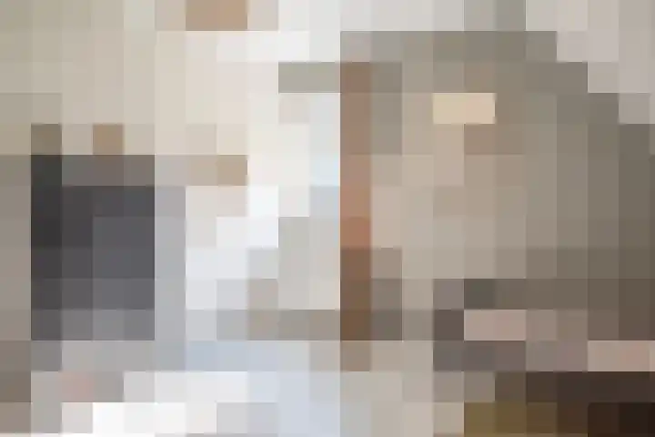 Dorpsstraat 4 Pesse thumbnail 25