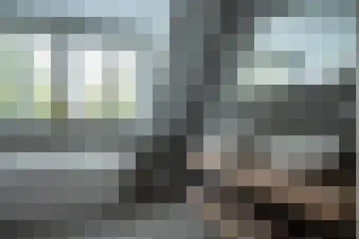 Dorpsstraat 4 Pesse thumbnail 26