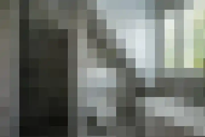Dorpsstraat 4 Pesse thumbnail 28