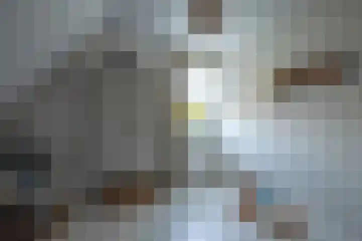 Dorpsstraat 4 Pesse thumbnail 30
