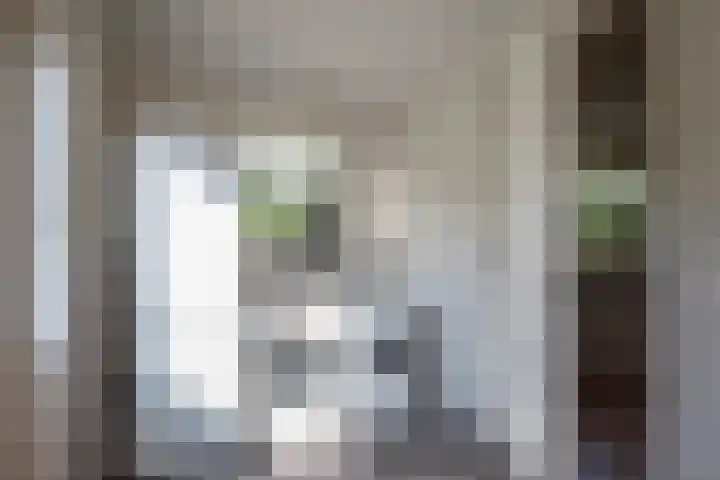 Dorpsstraat 4 Pesse thumbnail 37