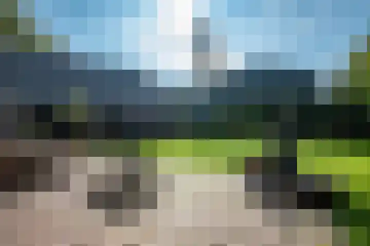 Dorpsstraat 4 Pesse thumbnail 38