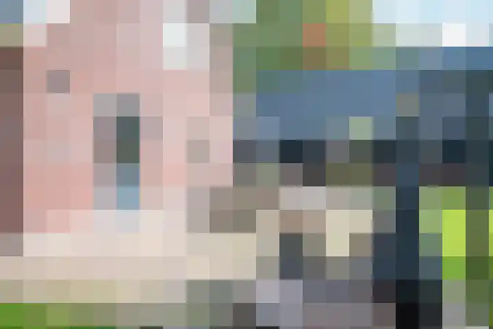 Dorpsstraat 4 Pesse thumbnail 39