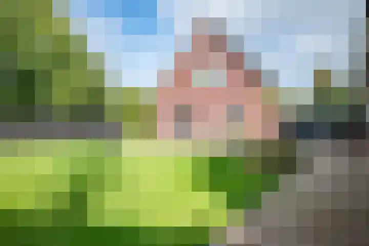 Dorpsstraat 4 Pesse thumbnail 40
