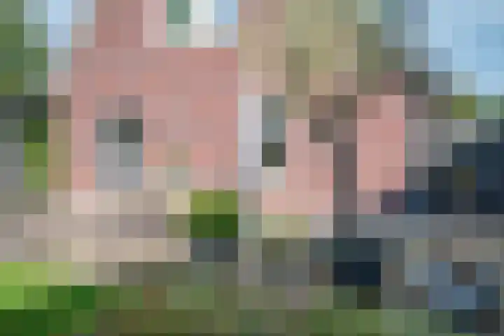 Dorpsstraat 4 Pesse thumbnail 42