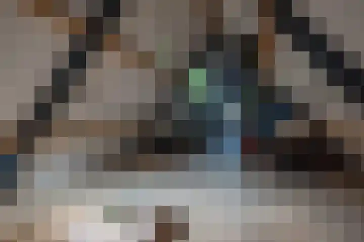 Dorpsstraat 4 Pesse thumbnail 47