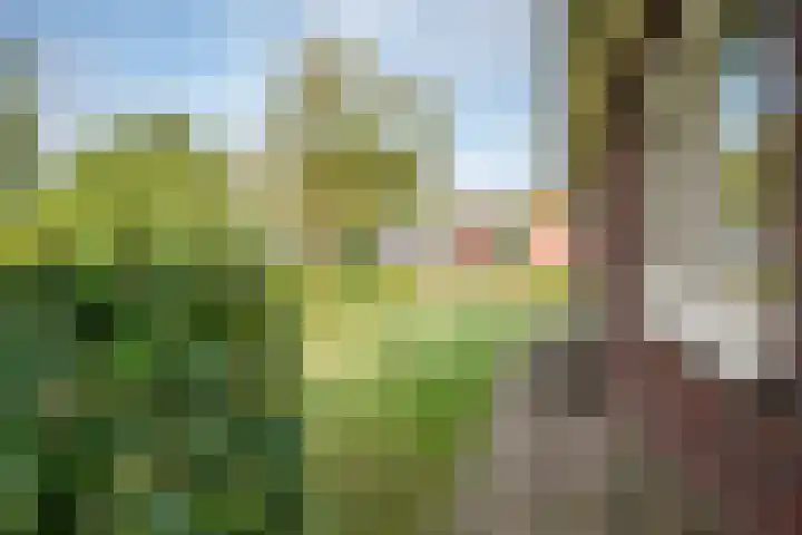 Dorpsstraat 4 Pesse thumbnail 50