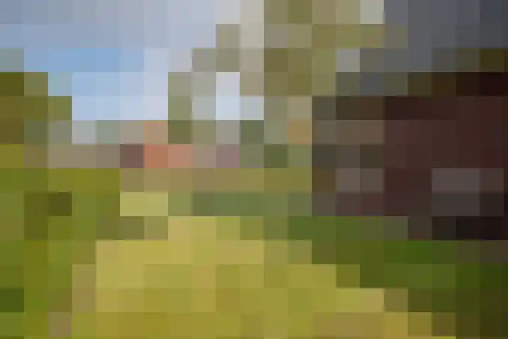 Dorpsstraat 4 Pesse thumbnail 51