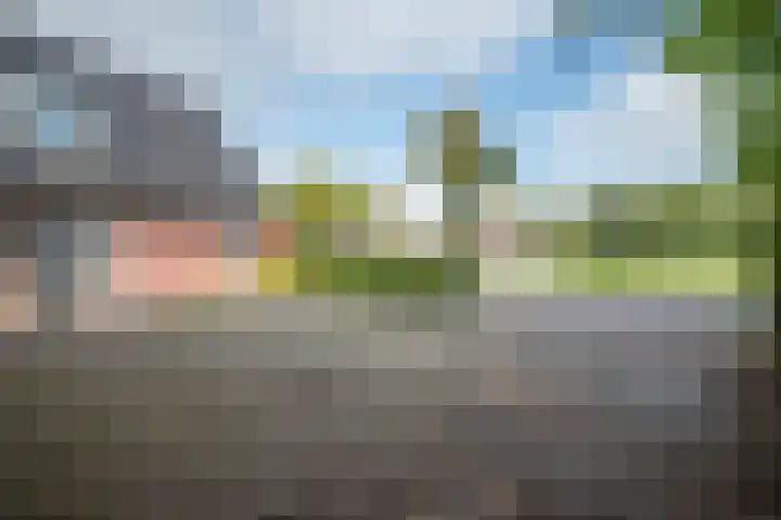 Dorpsstraat 4 Pesse thumbnail 53
