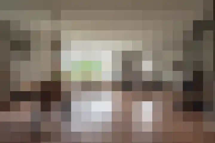 Dorpsstraat 4 Pesse thumbnail 6