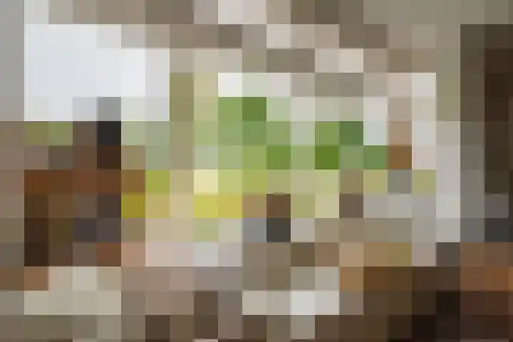 Dorpsstraat 4 Pesse thumbnail 9