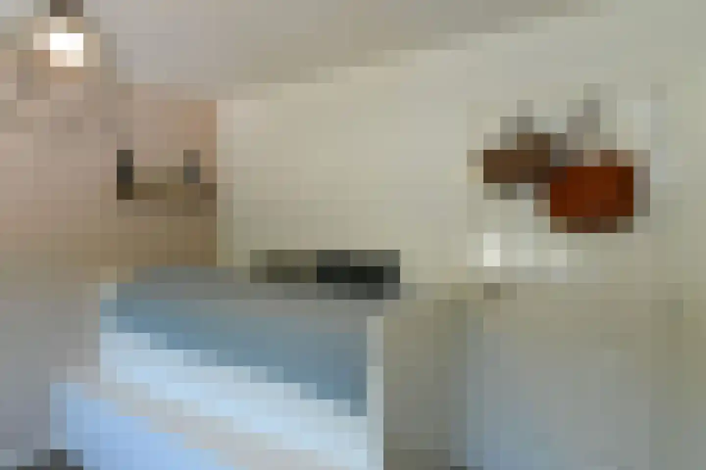 Dorpsstraat 4 Renkum thumbnail 22