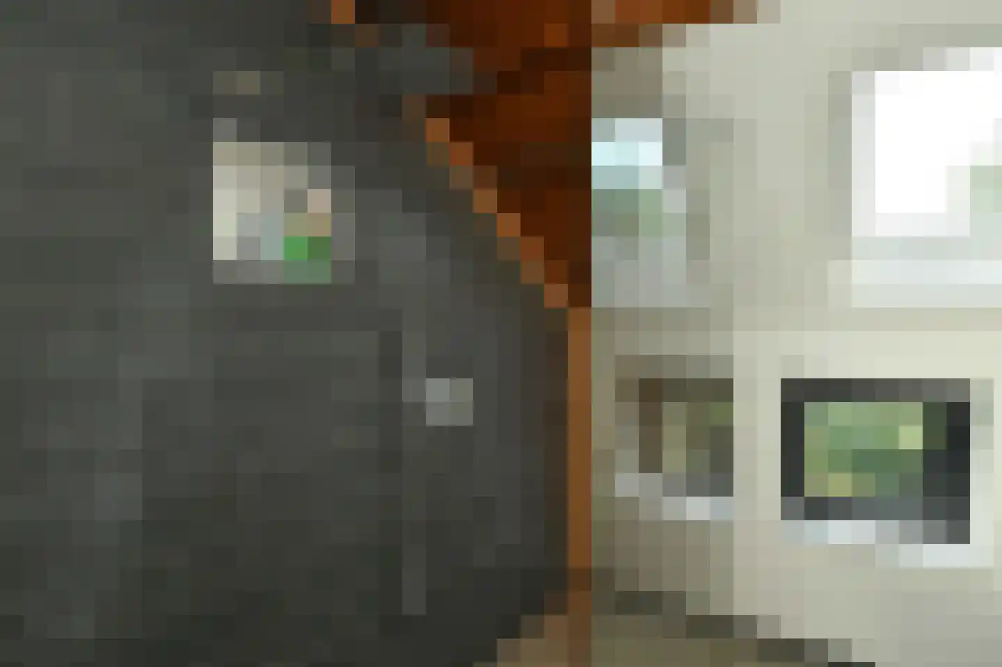 Dorpsstraat 4 Renkum thumbnail 29