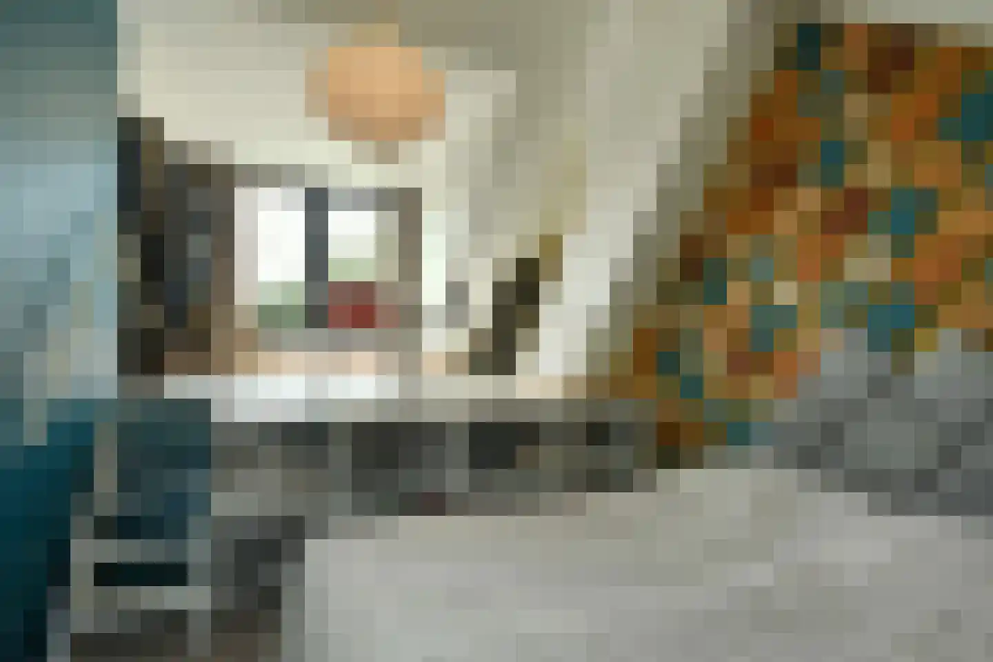 Dorpsstraat 4 Renkum thumbnail 30