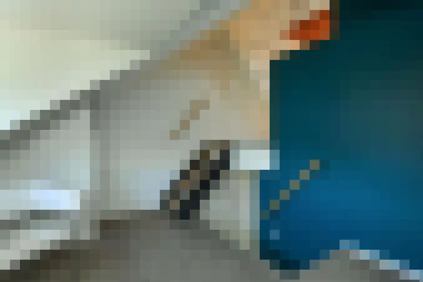 Dorpsstraat 4 Renkum thumbnail 31