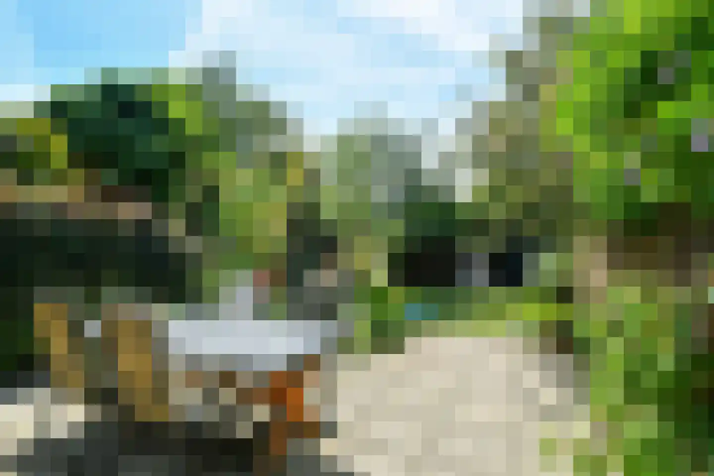 Dorpsstraat 4 Renkum thumbnail 33