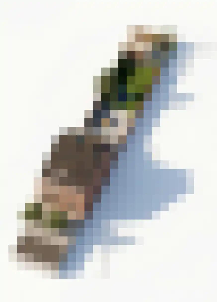 Dorpsstraat 4 Renkum thumbnail 37