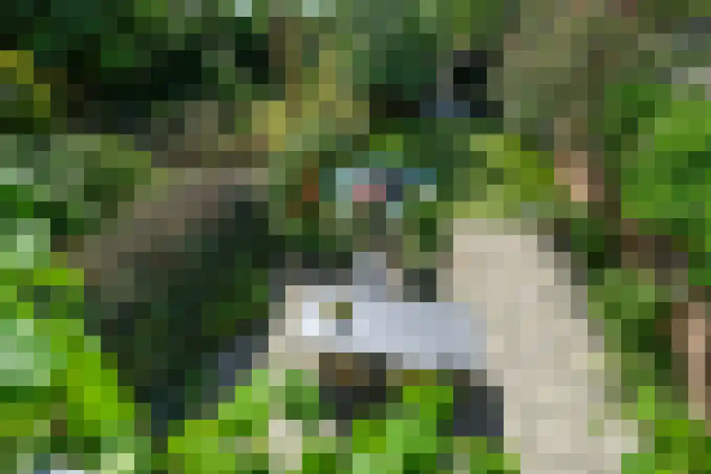 Dorpsstraat 4 Renkum thumbnail 5