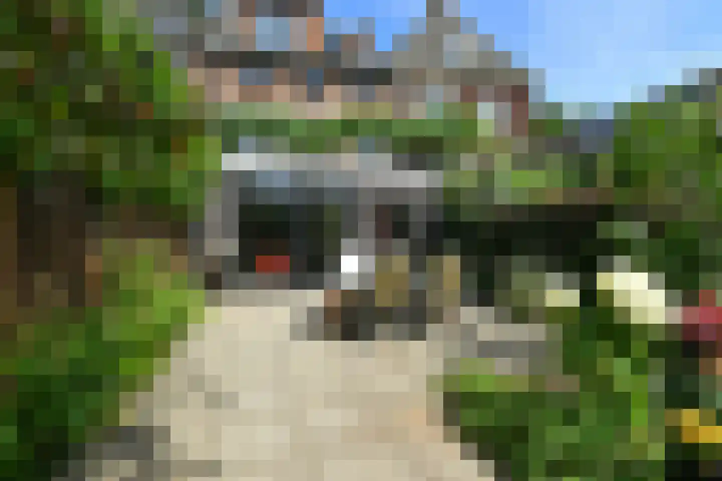 Dorpsstraat 4 Renkum thumbnail 6