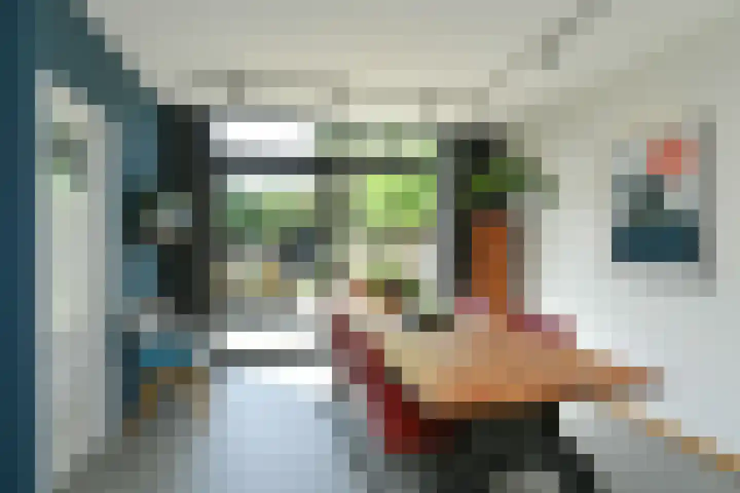 Dorpsstraat 4 Renkum thumbnail 7