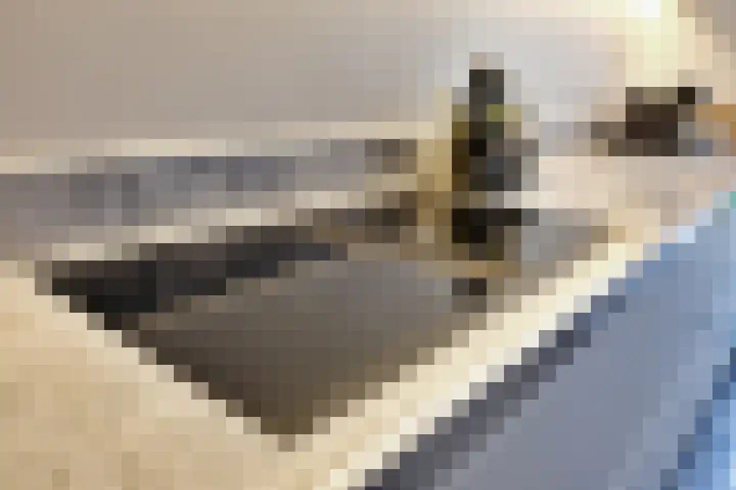 Dorpsstraat 4 Retranchement thumbnail 11