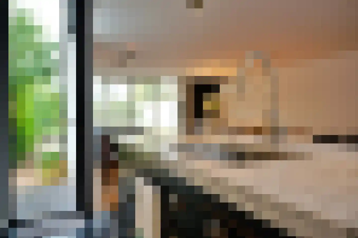 Dorpsstraat 4 Retranchement thumbnail 12