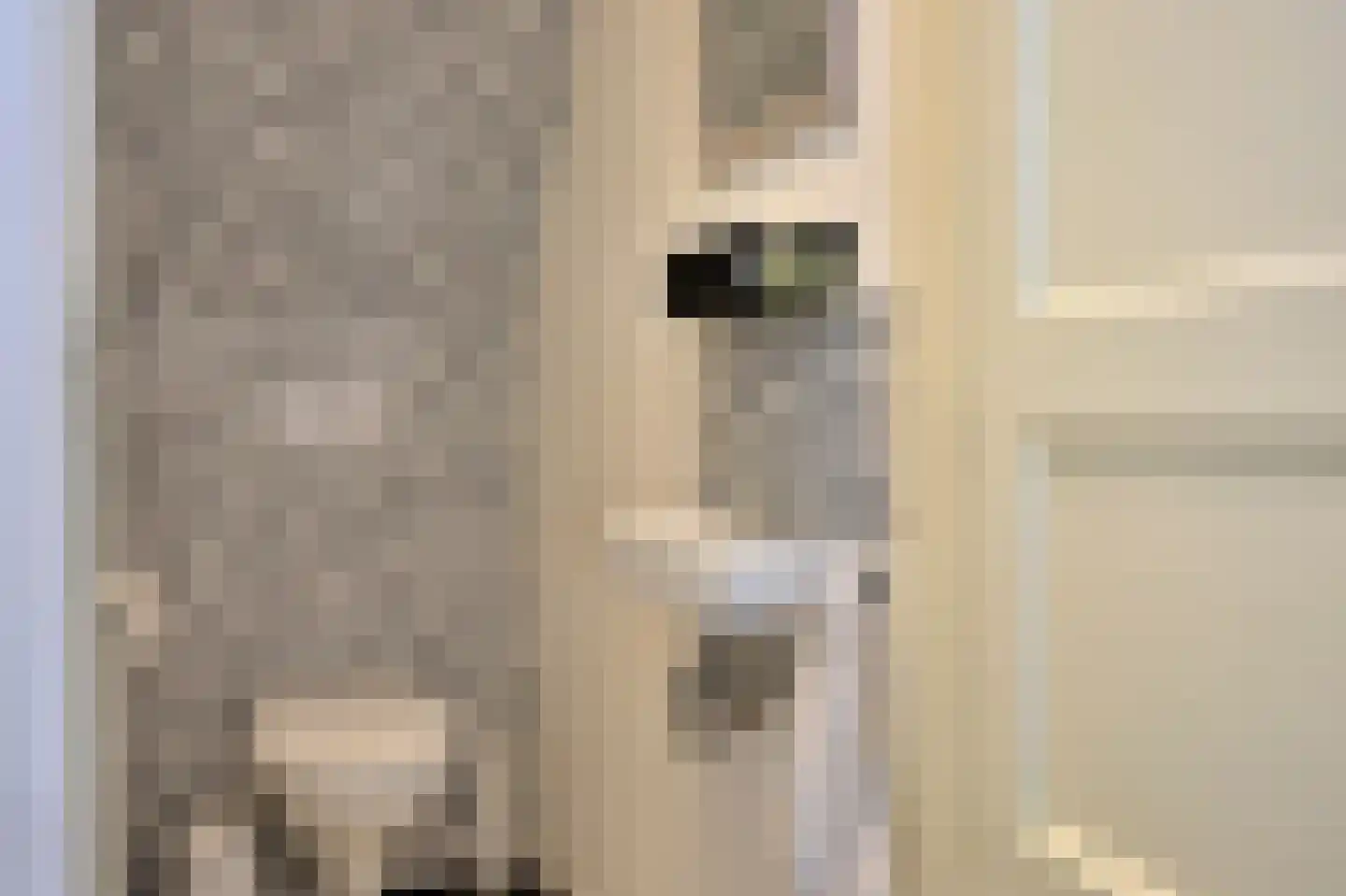 Dorpsstraat 4 Retranchement thumbnail 28