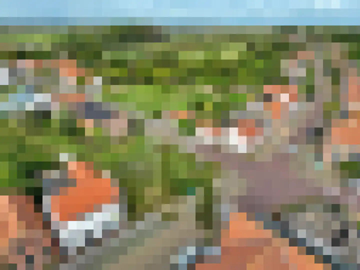 Dorpsstraat 4 Retranchement thumbnail 40