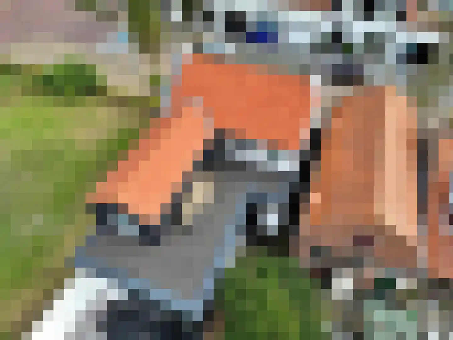Dorpsstraat 4 Retranchement thumbnail 40