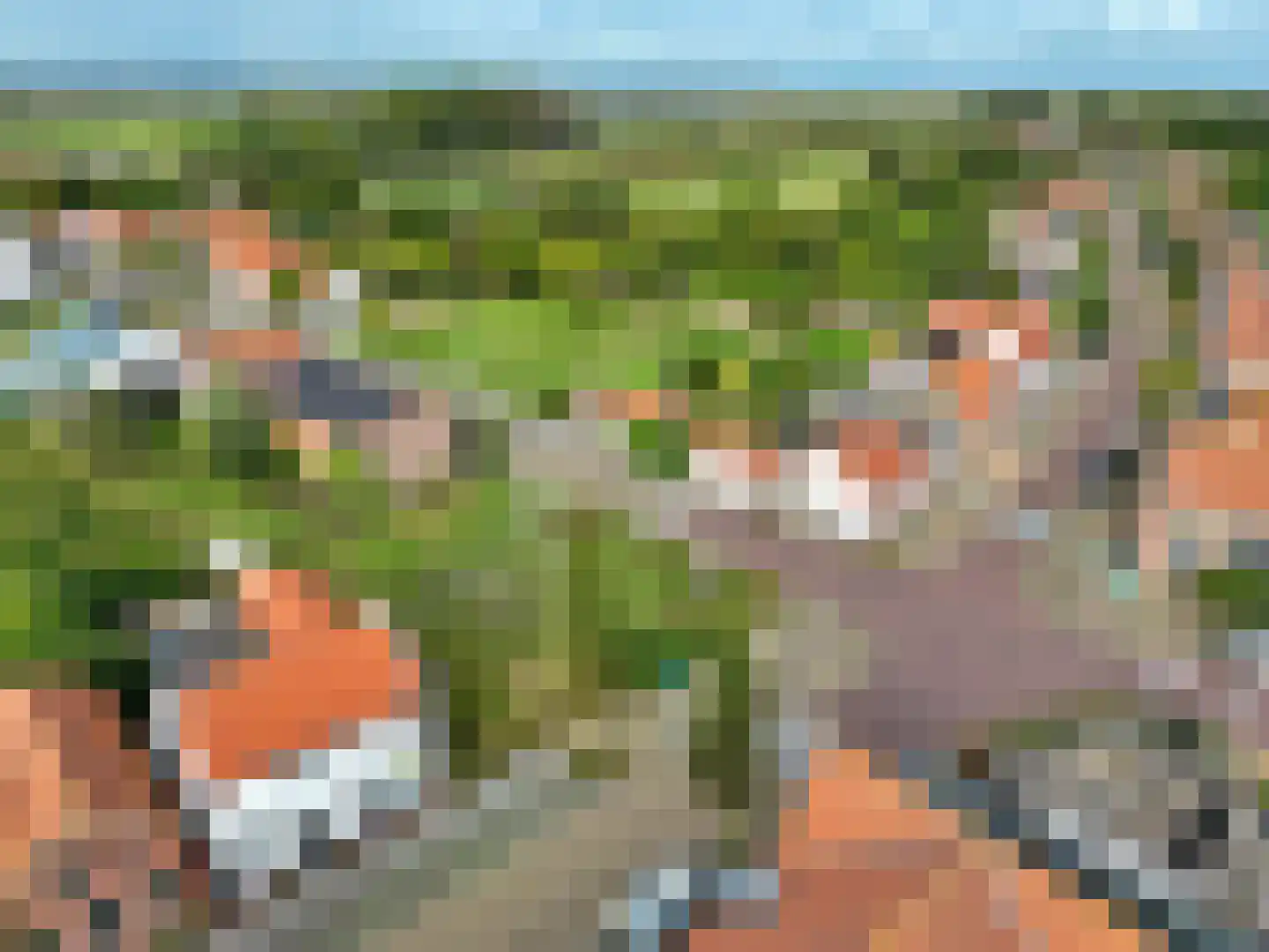 Dorpsstraat 4 Retranchement thumbnail 41