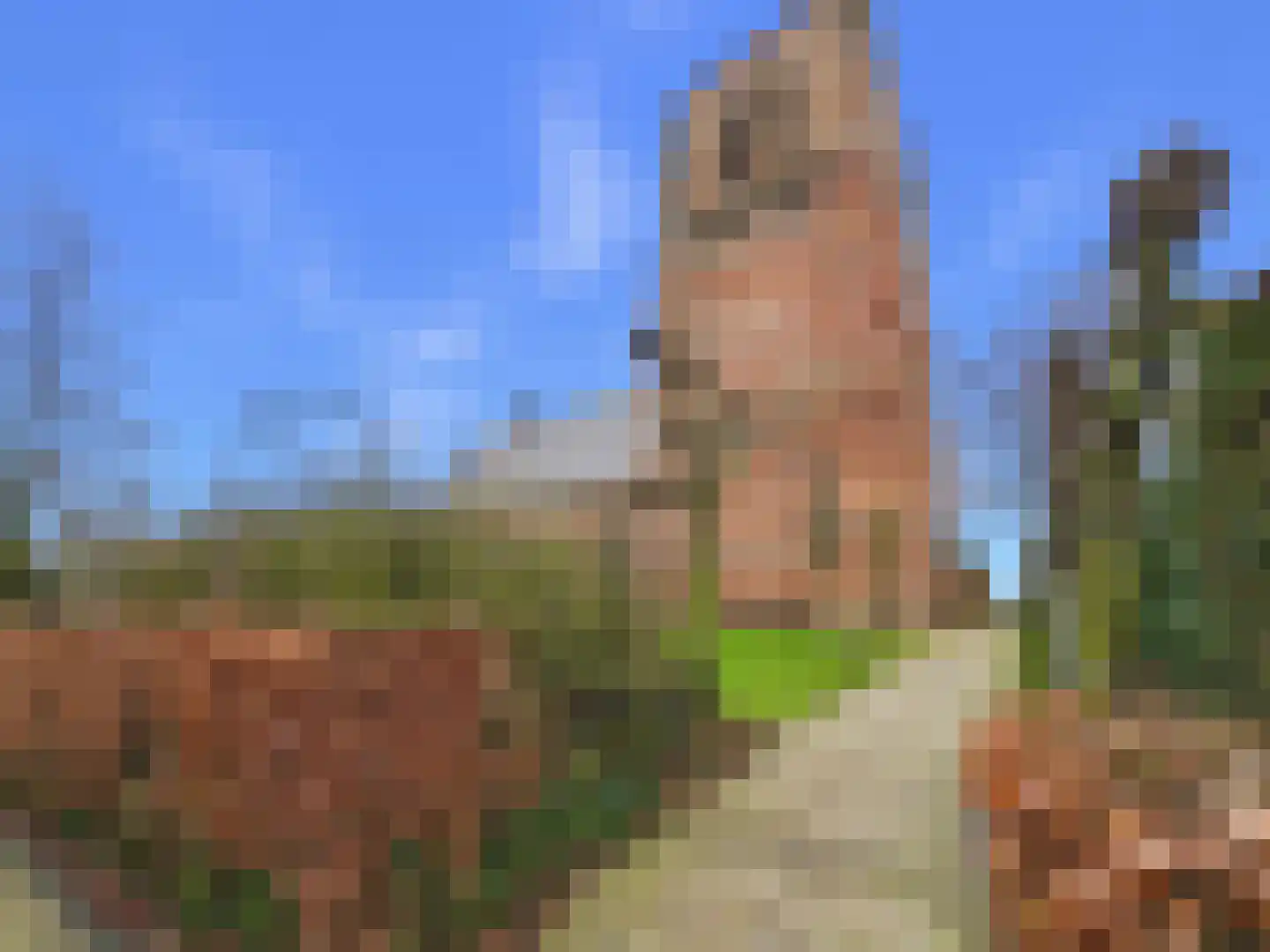 Dorpsstraat 4 Sint Kruis thumbnail 37