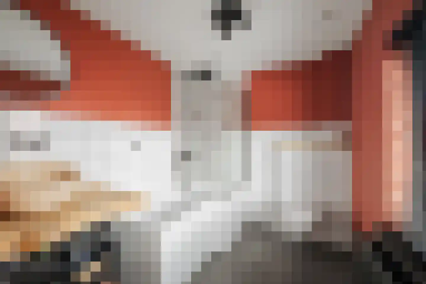 Dorpsstraat 4 Wilp thumbnail 19