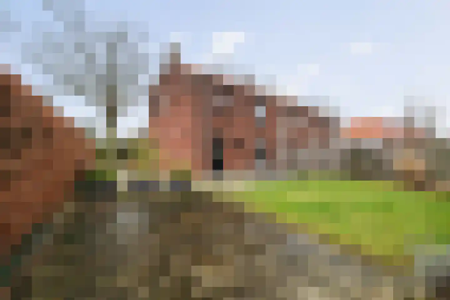 Dorpsstraat 4 Wilp thumbnail 21
