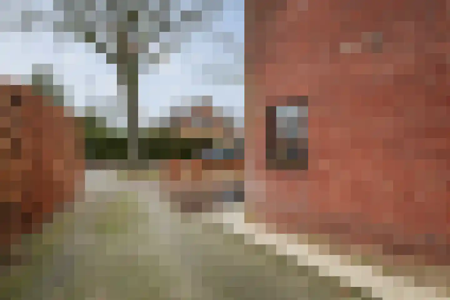 Dorpsstraat 4 Wilp thumbnail 26