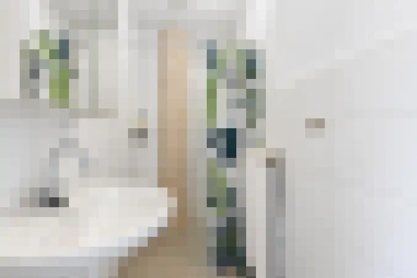 Dorpsstraat 40 a Nootdorp thumbnail 17