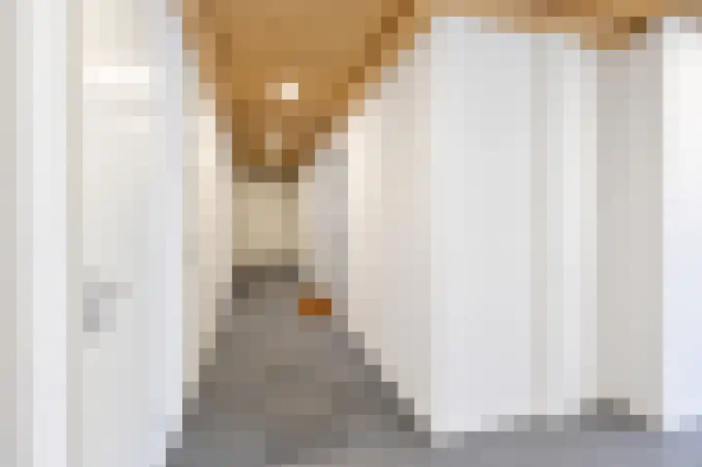 Dorpsstraat 40 a Nootdorp thumbnail 7