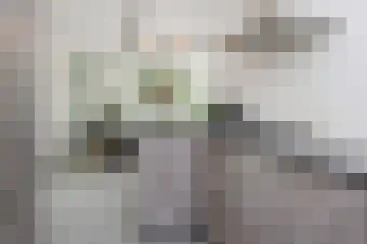Dorpsstraat 40 g Nootdorp thumbnail 14