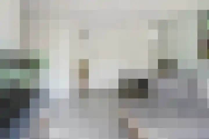 Dorpsstraat 40 g Nootdorp thumbnail 17
