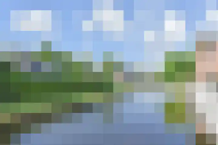 Dorpsstraat 40 g Nootdorp thumbnail 7