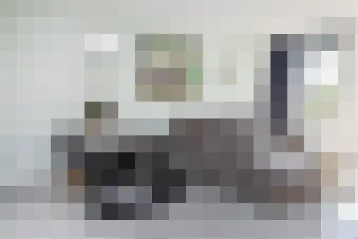 Dorpsstraat 40 g Nootdorp thumbnail 9