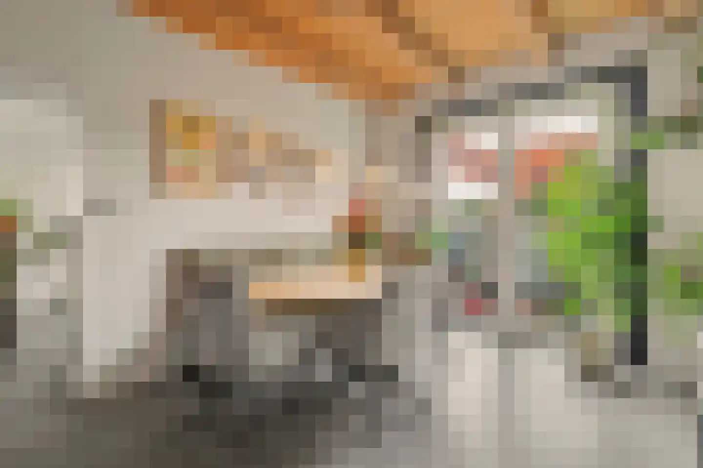 Dorpsstraat 40 Goudswaard thumbnail 25
