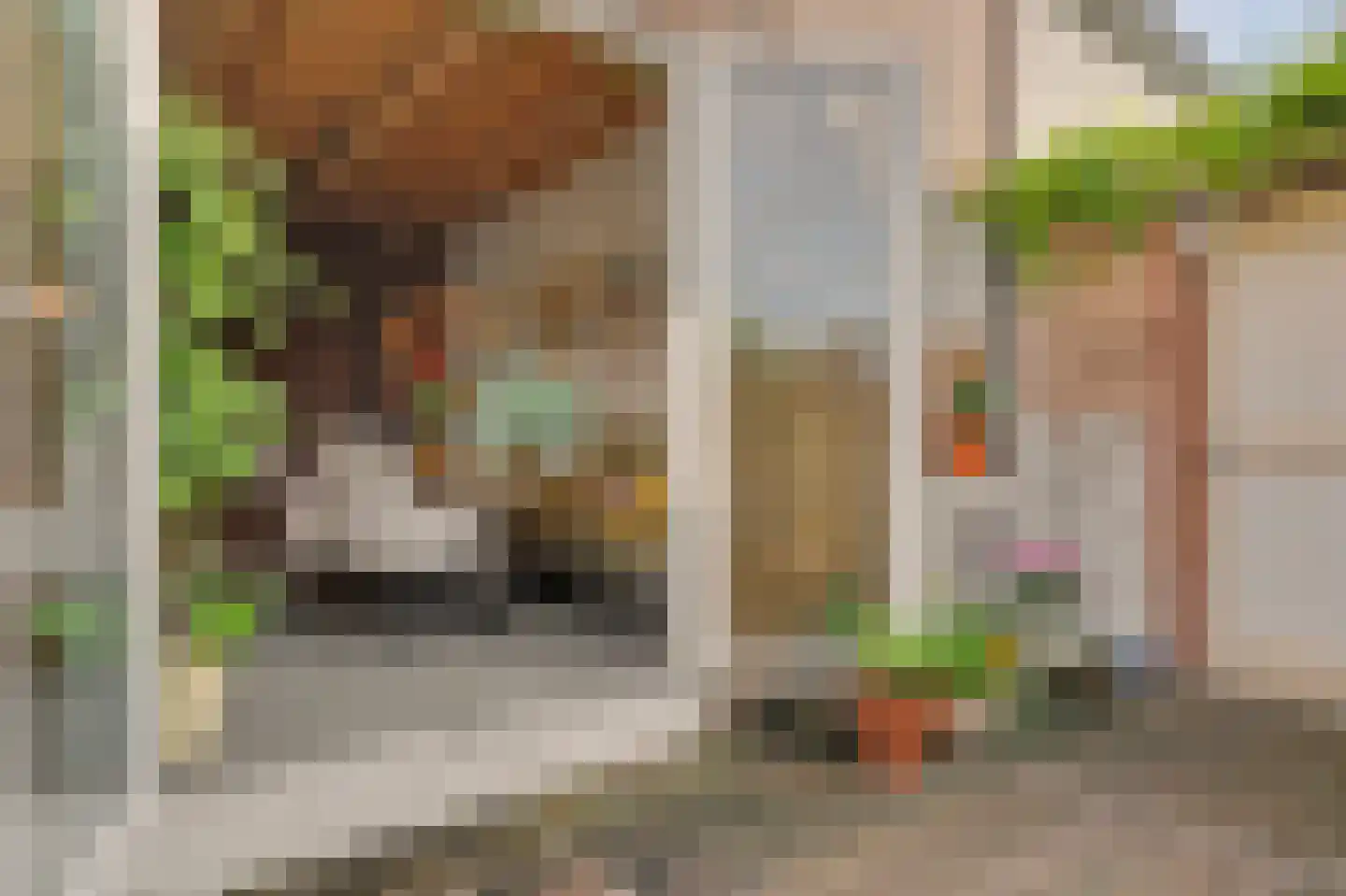 Dorpsstraat 40 Goudswaard thumbnail 50