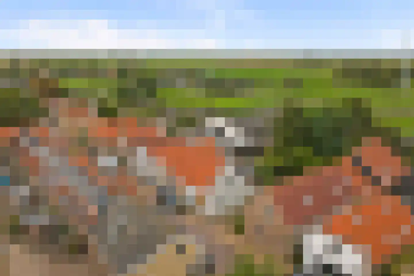 Dorpsstraat 40 Goudswaard thumbnail 56