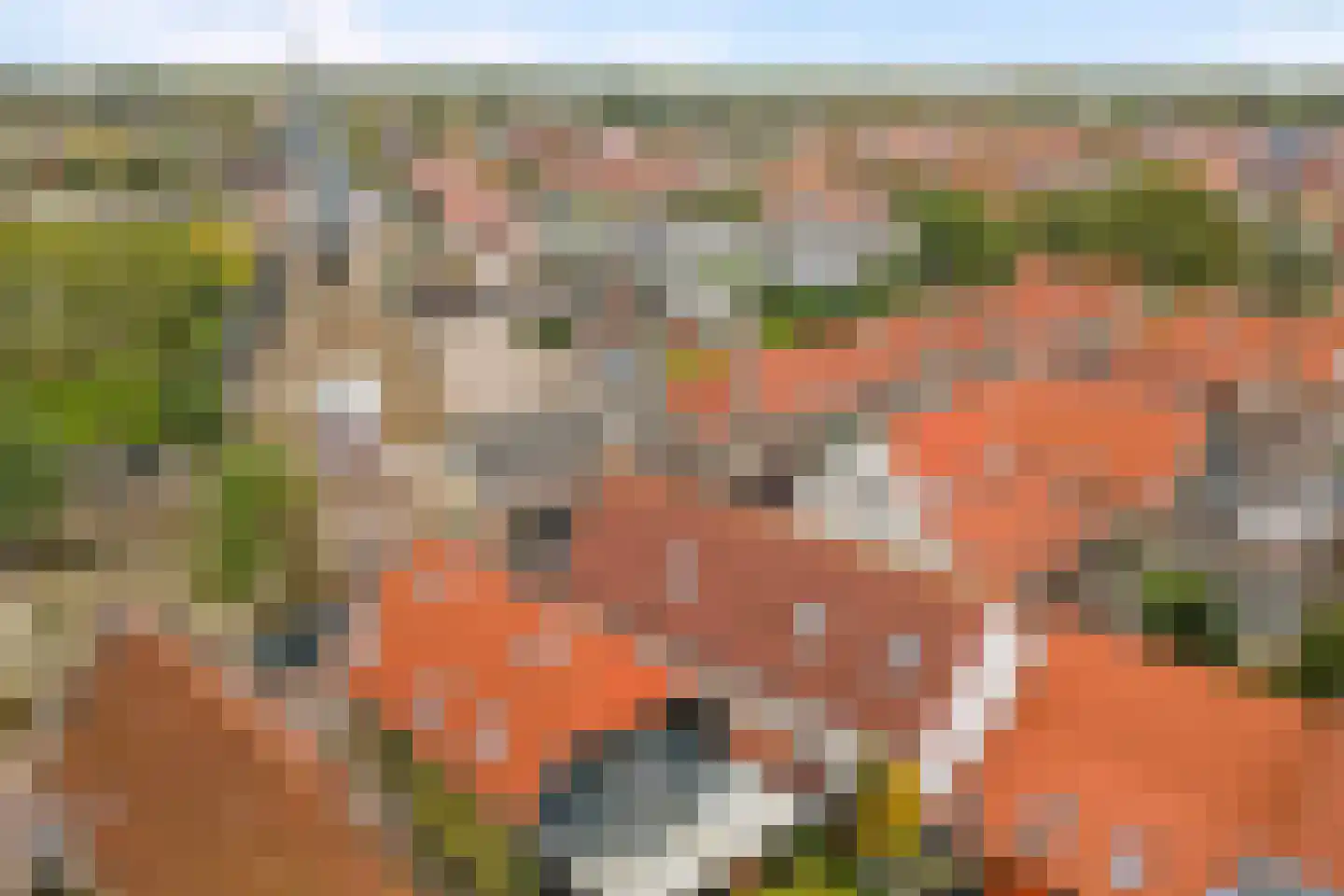 Dorpsstraat 40 Goudswaard thumbnail 57