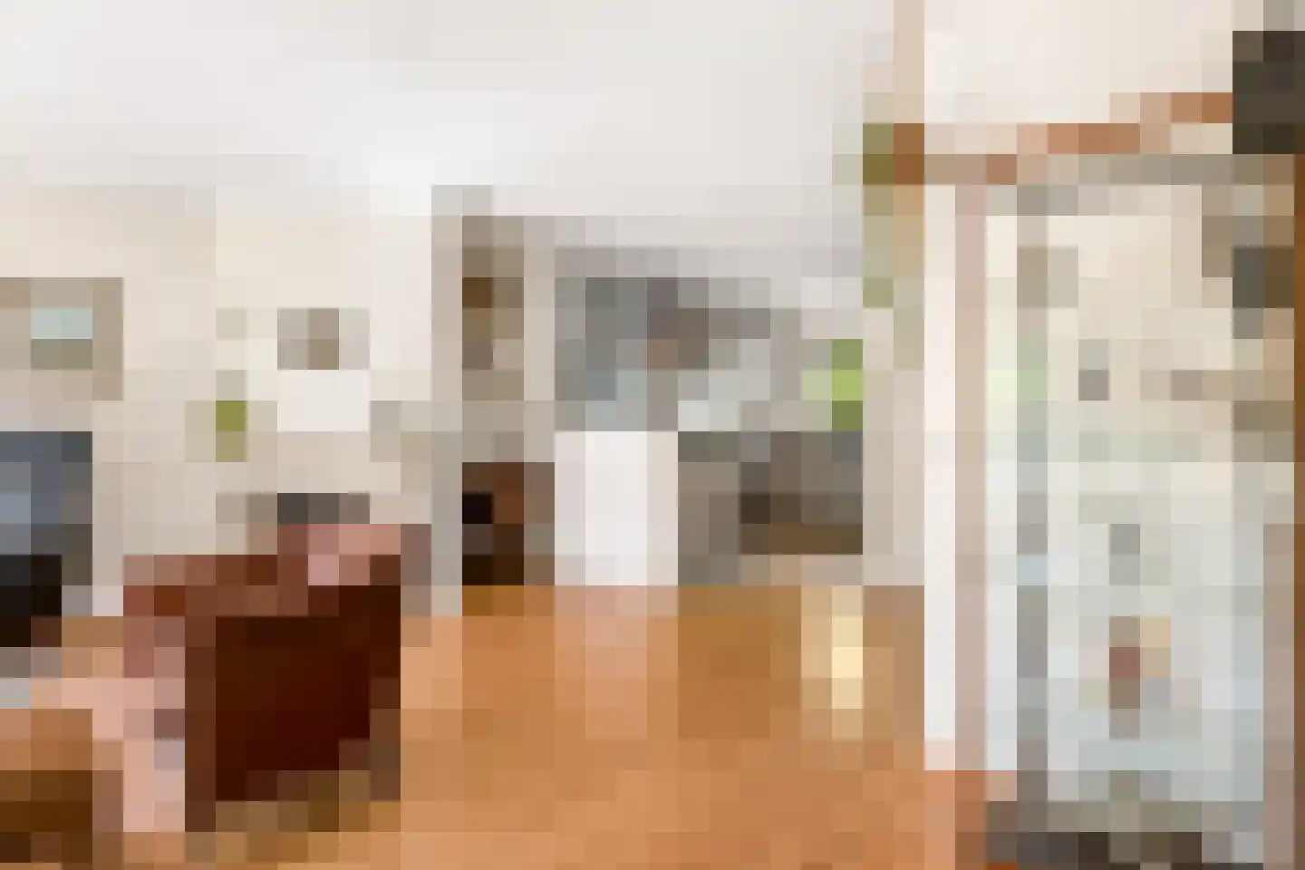 Dorpsstraat 40 Houten thumbnail 20