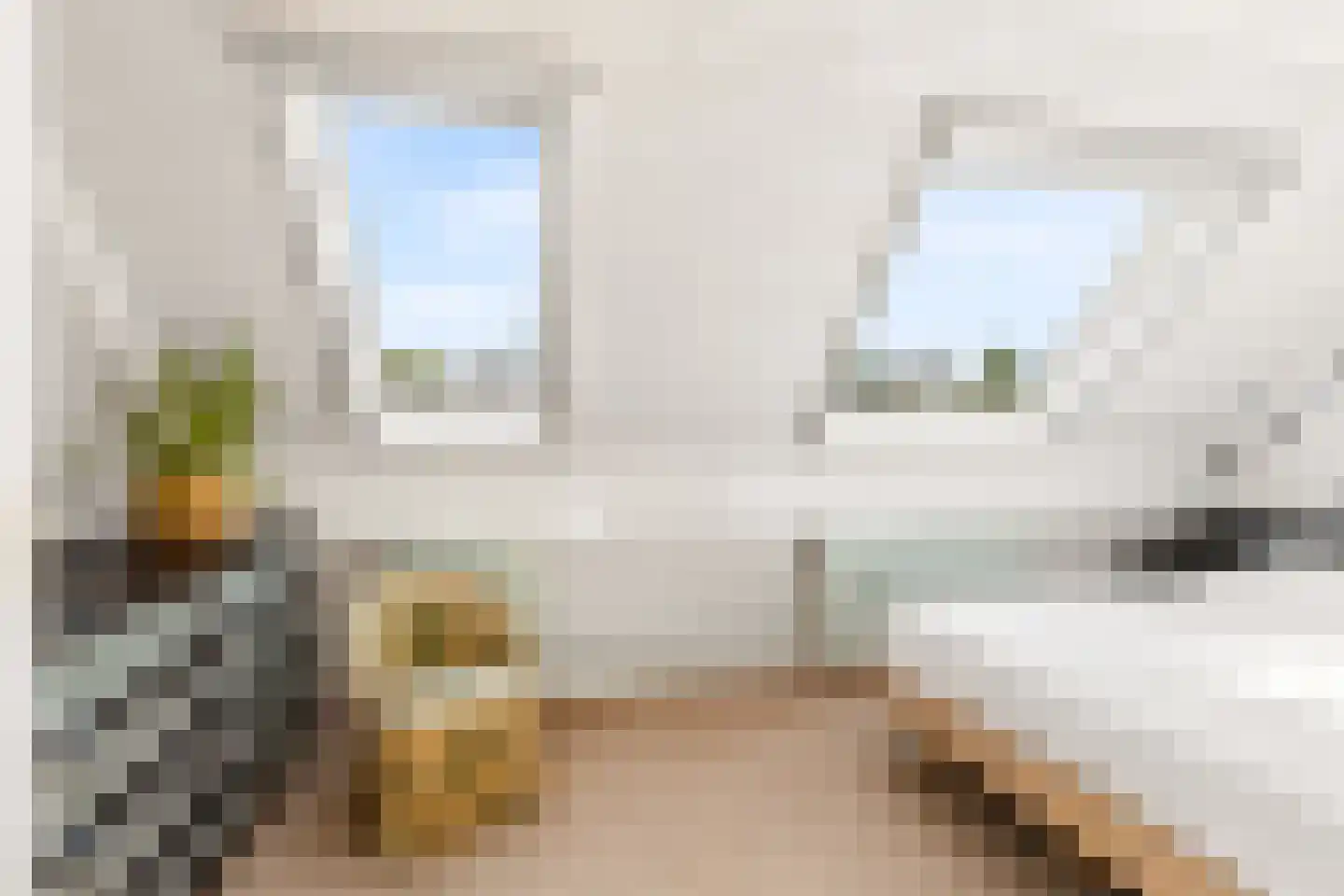 Dorpsstraat 40 Houten thumbnail 31