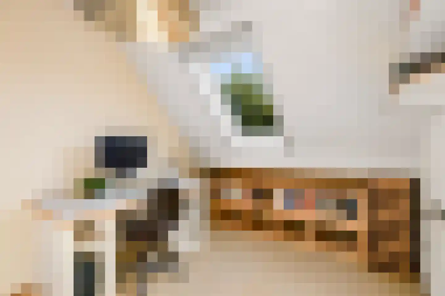 Dorpsstraat 40 Houten thumbnail 36