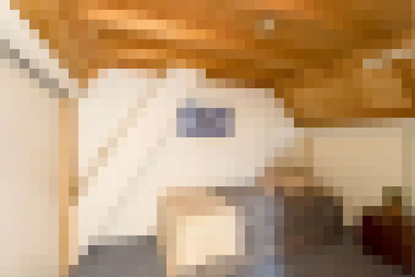 Dorpsstraat 40 Houten thumbnail 42