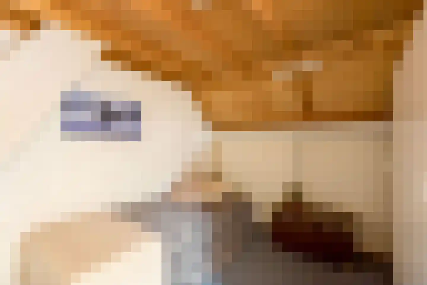 Dorpsstraat 40 Houten thumbnail 43