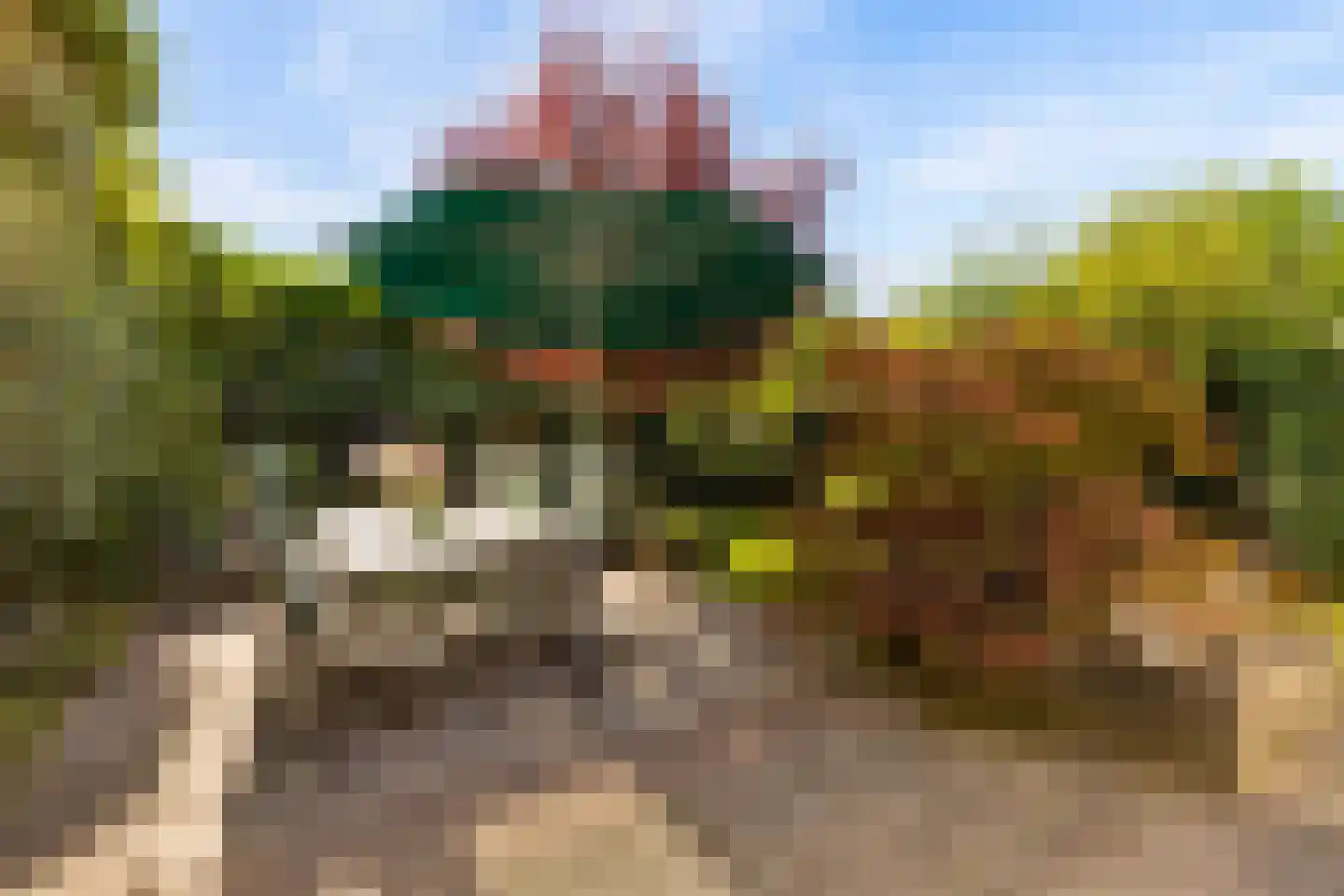 Dorpsstraat 40 Houten thumbnail 45
